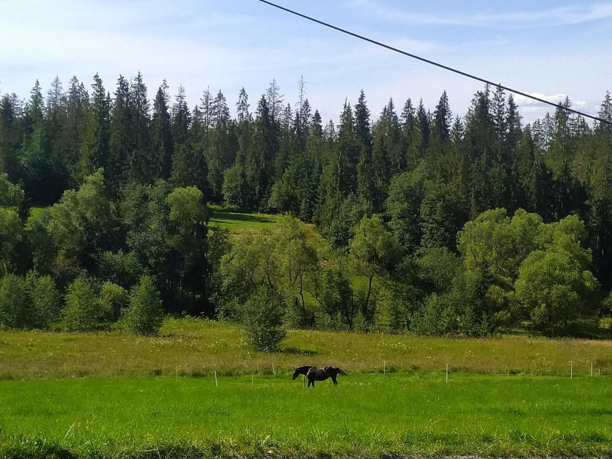 Domek U Mrugaly بورونين المظهر الخارجي الصورة